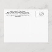 Travel Photography Sanibel Island Florida Shells Briefkaart (Achterkant)