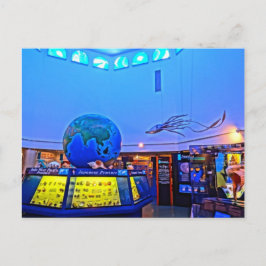 Travel Photography Sanibel Island Florida Shells Briefkaart