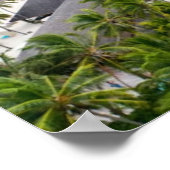 Travel Poster: Inspire Your Next Adventure Poster (Hoek)