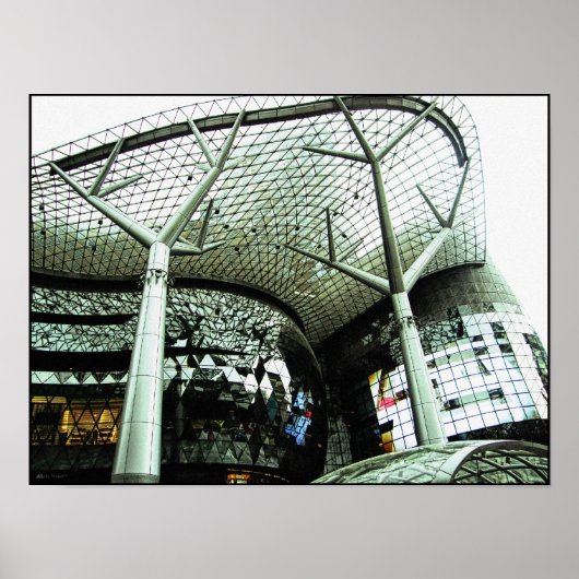 Travel Visions : ION ORCHARD, SINGAPORE Poster (Voorkant)