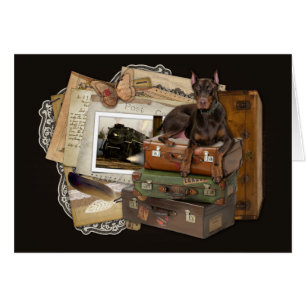 Traveling Doberman - Rocky