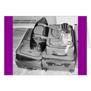 Traveling Indigopotlood