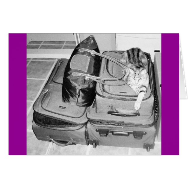 Traveling Indigopotlood (Voorkant Horizontaal)