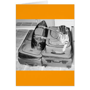 Traveling Indigopotlood