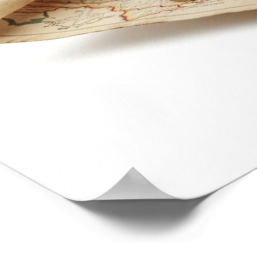 Traveller Frog Graphic Poster (Hoek)