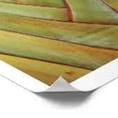 Travellerpalm Poster (Hoek)