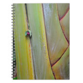 Travellers palm notitieboek (Voorkant)