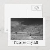 Traverse City Cherry Orchard Briefkaart (Voorkant / Achterkant)