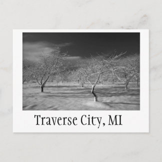 Traverse City Cherry Orchard Briefkaart