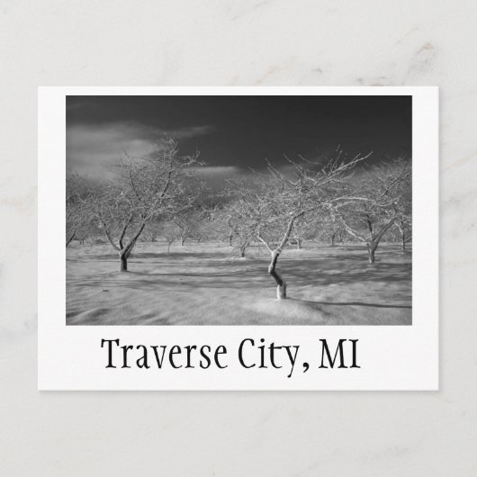 Traverse City Cherry Orchard Briefkaart (Voorkant)