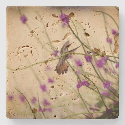 Travertijnse Onderzetters (Voorkant)