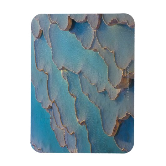 Travertijnse terrassen van Pamukkale Magneet (Verticaal)