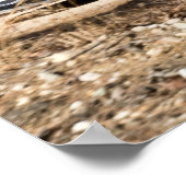 Travis Pastrana in het 100 Acre Wood Poster (Hoek)