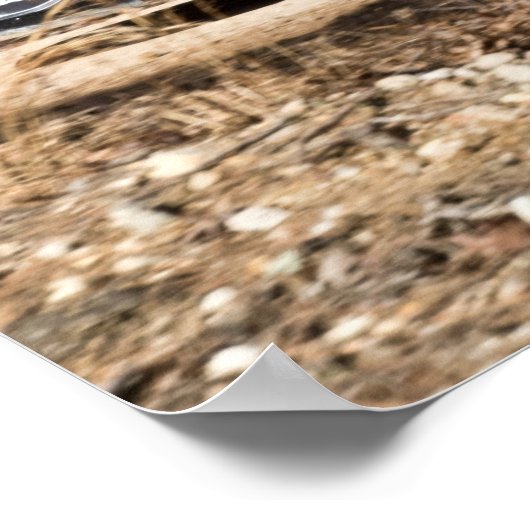 Travis Pastrana in het 100 Acre Wood Poster (Hoek)