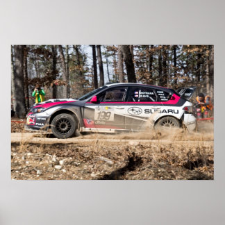 Travis Pastrana in het 100 Acre Wood Poster