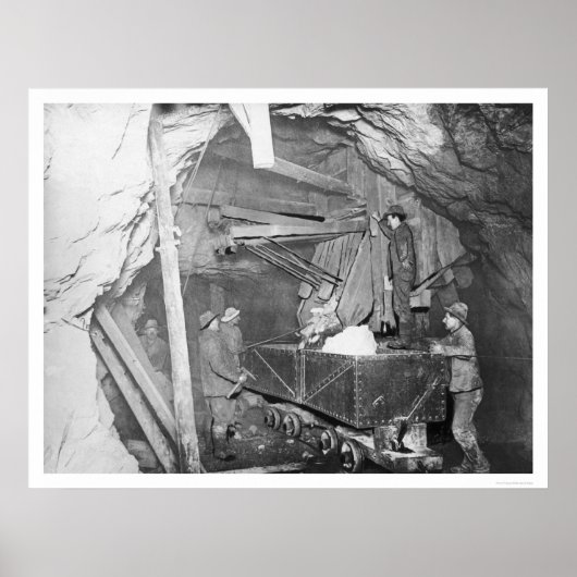 Treadwell Gold Mine Alaska 1916 Poster (Voorkant)