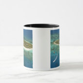 Treasure Island Resort and boat, Fiji Mok (Midden)