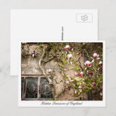Treasures of England, Magnolia Flowers, Verenigd K Briefkaart (Voorkant / Achterkant)