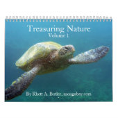 Treasuring Natuur - Vol 1 Kalender (Hoes)