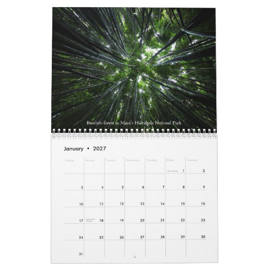 Treasuring Natuur - Vol 1 Kalender (Jan 2027)
