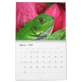 Treasuring Natuur - Vol 1 Kalender (Feb 2027)