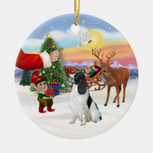 Treat voor een Engelstalige Springer-spaniel Keramisch Ornament