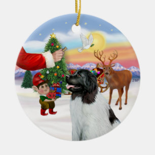 Treat voor een Landseer Newfoundland Keramisch Ornament