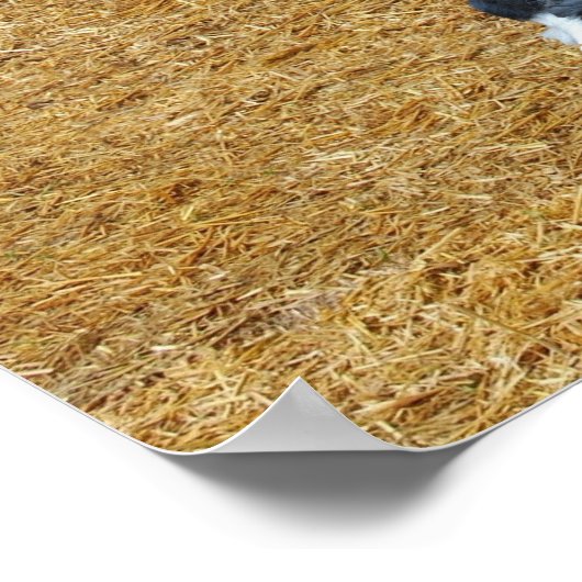 Trecker Poster (Hoek)