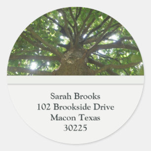Tree-adres Stickers
