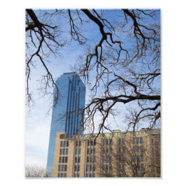 Tree and Tall Building, Dallas, Texas Foto Afdruk