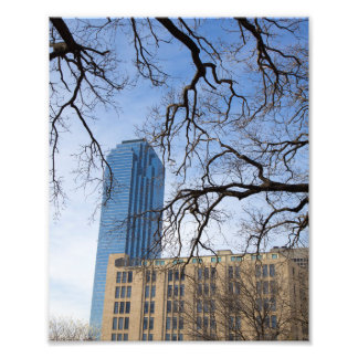 Tree and Tall Building, Dallas, Texas Foto Afdruk