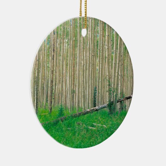 Tree Aspen Grove Colorado Keramisch Ornament (Rechts)