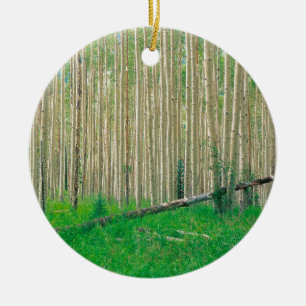 Tree Aspen Grove Colorado Keramisch Ornament