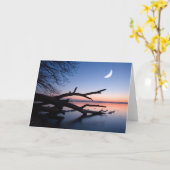 Tree at Starnberg Lake | Muensing Bavaria Germany Kaart (Gele Bloem)