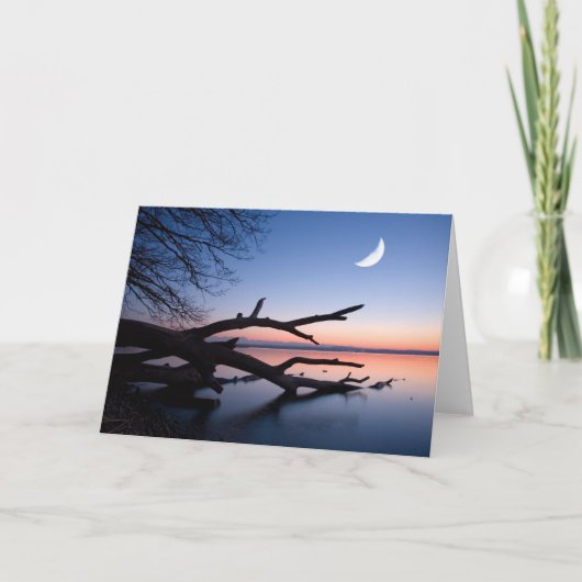 Tree at Starnberg Lake | Muensing Bavaria Germany Kaart (Voorkant)