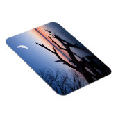 Tree at Starnberg Lake | Muensing Bavaria Germany Magneet (Rechterzijde)