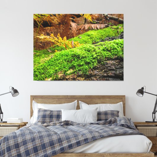 Tree Bark in Autumn Moss - Canvas Afdruk (Insitu (Slaapkamer))