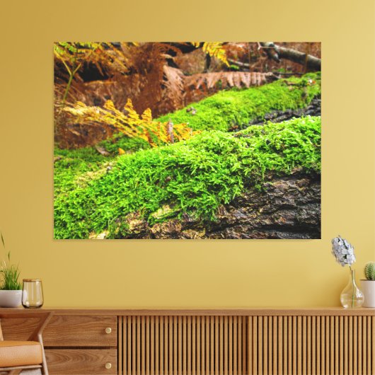 Tree Bark in Autumn Moss - Canvas Afdruk (Insitu (Woonkamer))