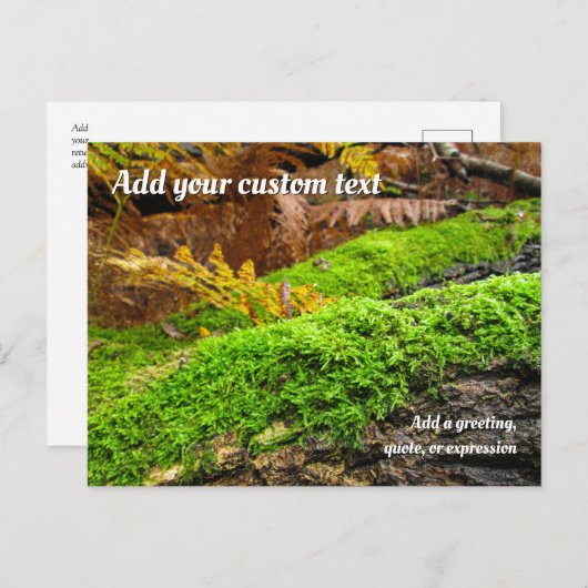 Tree Bark in Autumn Moss - Personalised Briefkaart (Voorkant / Achterkant)