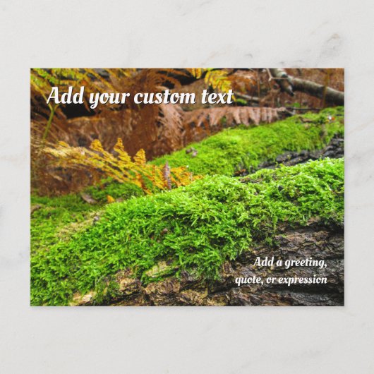 Tree Bark in Autumn Moss - Personalised Briefkaart (Voorkant)