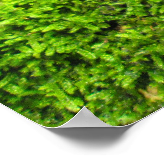 Tree Bark in Autumn Moss - Personalised Poster (Hoek)