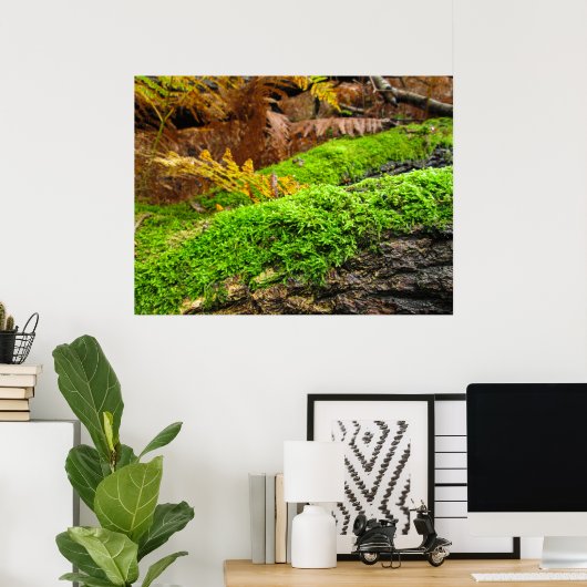 Tree Bark in Autumn Moss - Personalised Poster (Thuiskantoor)