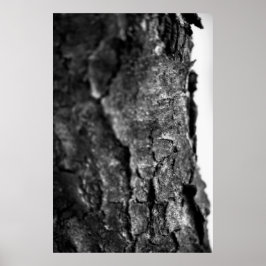 Tree Bark Macro Zwart en Wit Poster
