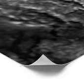 Tree Bark Macro Zwart en Wit Poster (Hoek)