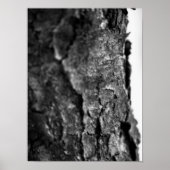 Tree Bark Macro Zwart en Wit Poster (Voorkant)