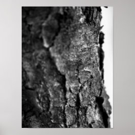 Tree Bark Macro Zwart en Wit Poster