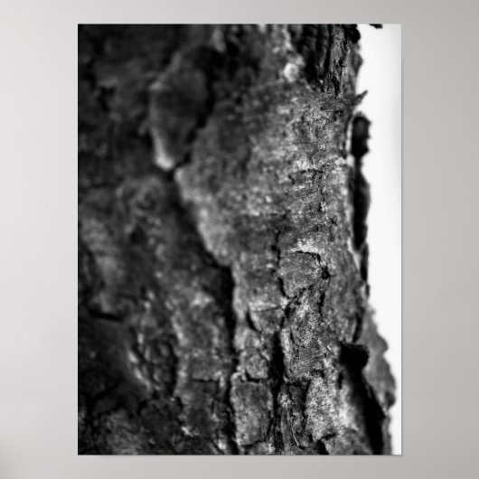 Tree Bark Macro Zwart en Wit Poster (Voorkant)
