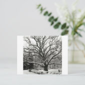 Tree Bedford Oak New York City Briefkaart (Staand voorkant)