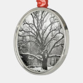 Tree Bedford Oak New York City Metalen Ornament (Links)
