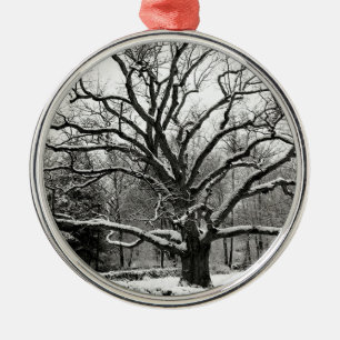 Tree Bedford Oak New York City Metalen Ornament
